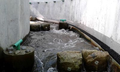 One of the sections of the fish pass during operation, each section is divided by bolts damming water to the appropriate height